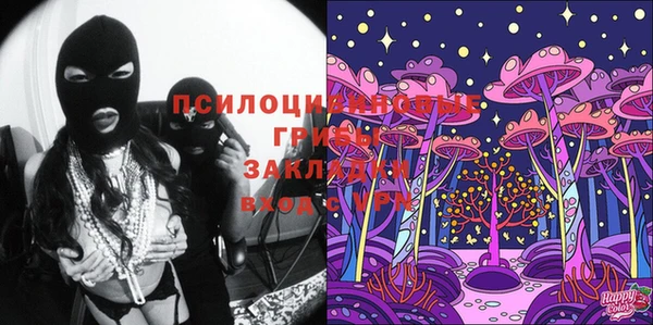 стаф Покачи