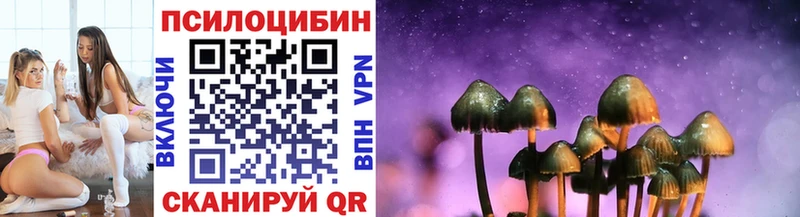 Псилоцибиновые грибы GOLDEN TEACHER  Купить где  Астрахань 